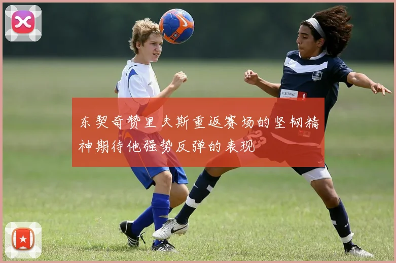 东契奇赞里夫斯重返赛场的坚韧精神期待他强势反弹的表现